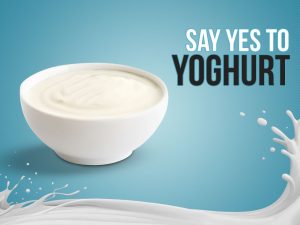 yogurt for immunity